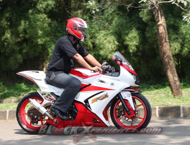 Elegant Sporty Ninja 250R
